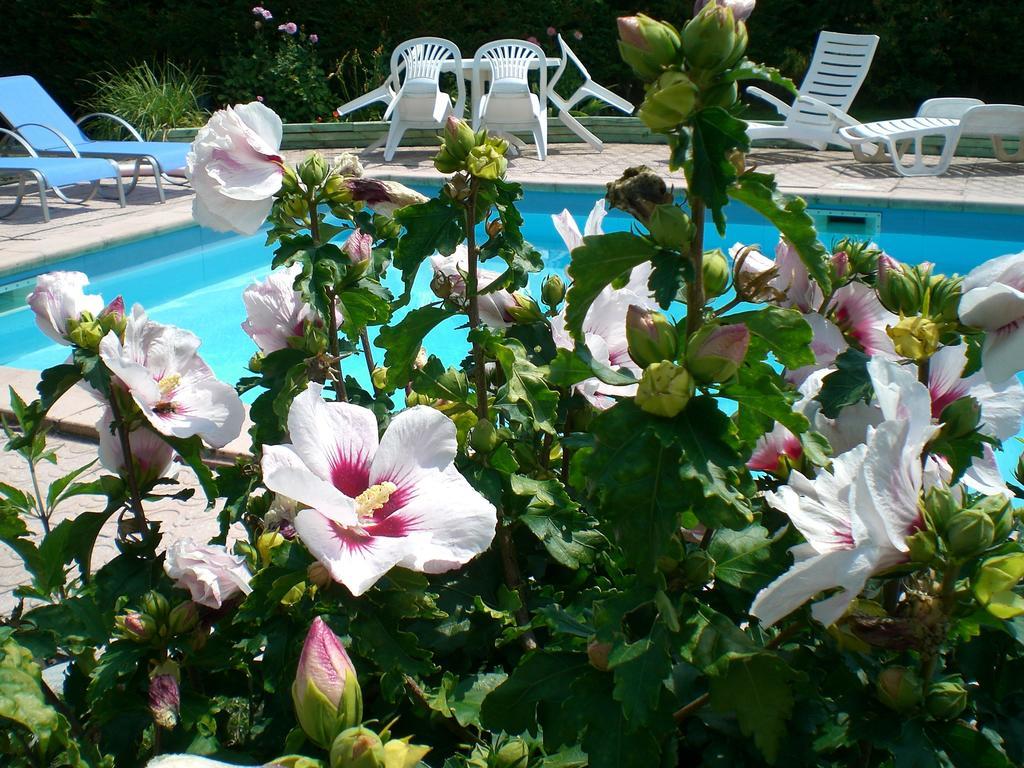 Chambres D'Hotes Le Clos Des Senteurs Malemort Esterno foto